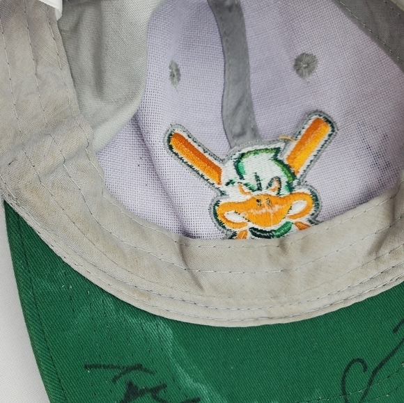 MADISON Mallards Ball Cap Gray Grn Signed Snapback 1-Sz Hat Ten Autographs Logo - Picture 14 of 14